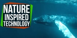 10 Cool Technology & Innovations inspired by Animals, Birds: Biomimicry