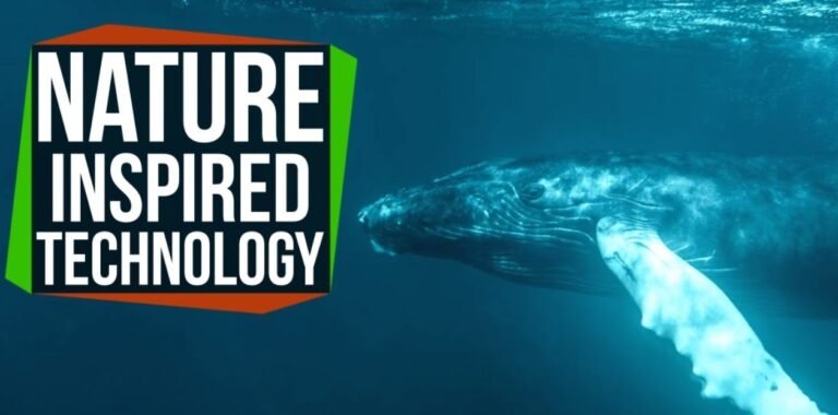 10 Cool Technology & Innovations inspired by Animals, Birds: Biomimicry