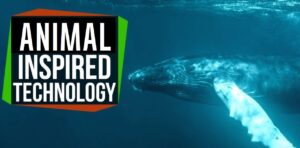 10 Cool Technology & Innovations inspired by Animals, Birds: Biomimicry