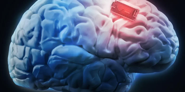 You can download the Knowledge directly to your Brain via ‘Brain Implants’, AI Expert says