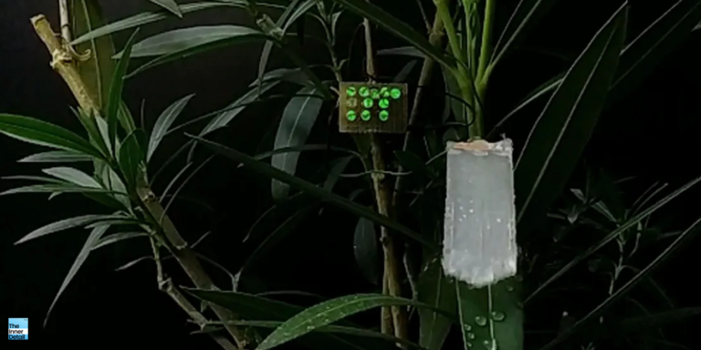 <strong>This Artificial Leaf produces Electricity from Wind & Rain: Scientists</strong>