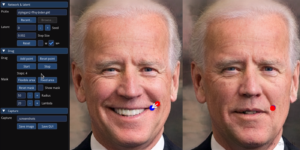 Click & Drag AI Editing Tool - DragGAN