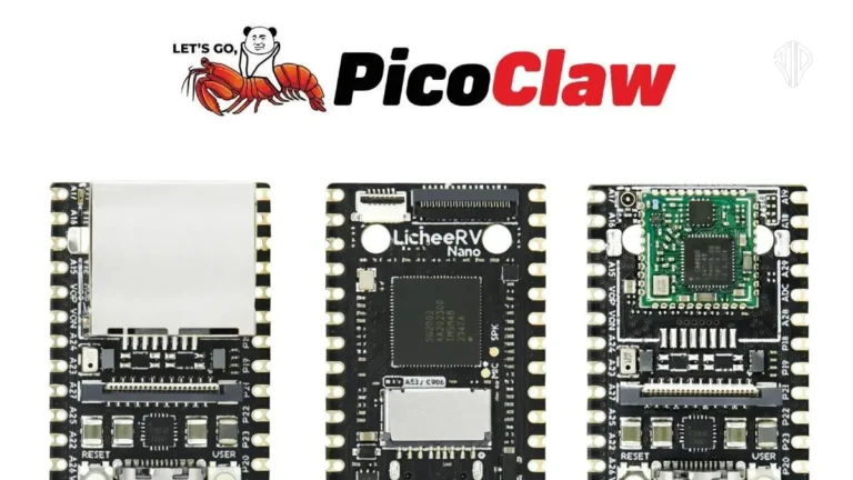 What is PicoClaw? How PicoClaw is Democratizing AI Agents